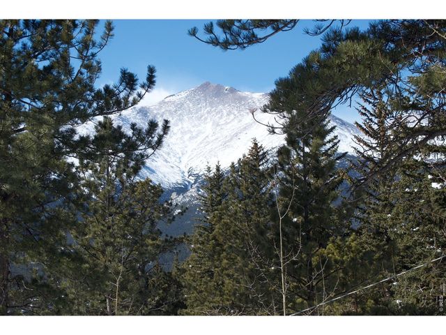 747 Coyote Hill Rd, Allenspark, CO 80510