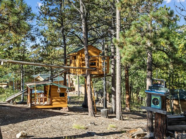 747 Coyote Hill Rd, Allenspark, CO 80510