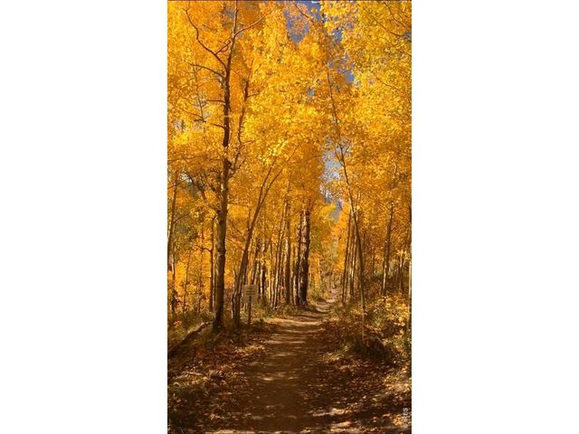 747 Coyote Hill Rd, Allenspark, CO 80510
