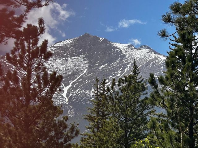 747 Coyote Hill Rd, Allenspark, CO 80510
