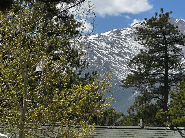 747 Coyote Hill Rd, Allenspark, CO 80510