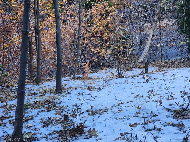 104 Fremont Road, Lake Arrowhead, CA 92352