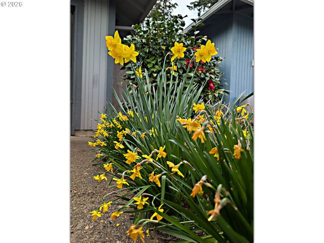 15597 Sw SUMMERFIELD Ln, Tigard, OR 97224