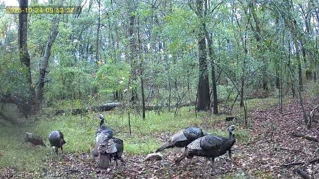 99294 S 4630 Road, Sallisaw, OK 74955