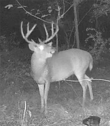 99294 S 4630 Road, Sallisaw, OK 74955