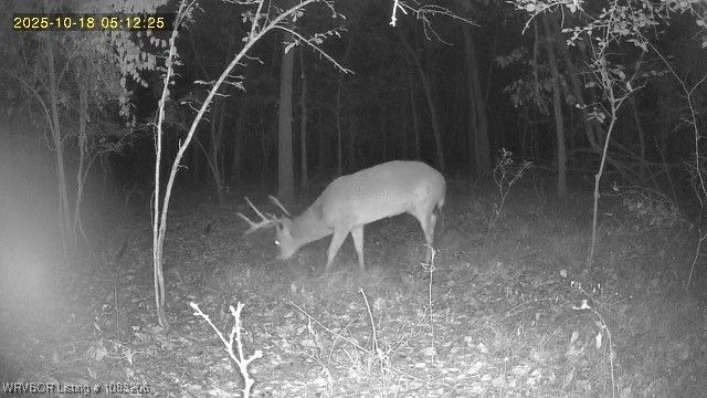 99294 S 4630 Road, Sallisaw, OK 74955