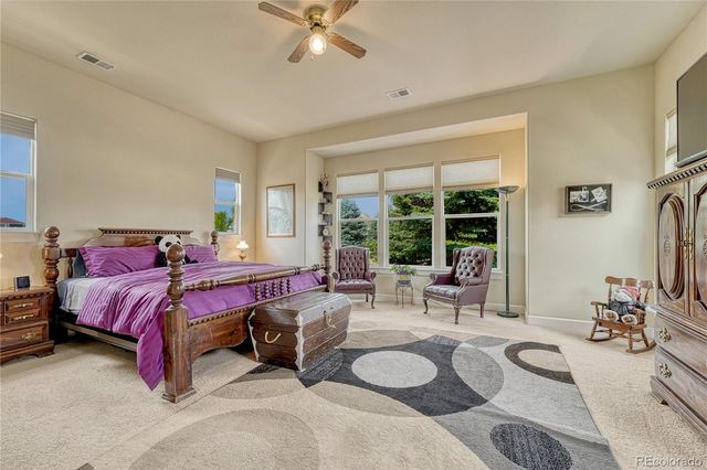 5302 Danvers Court, Castle Rock, CO 80104