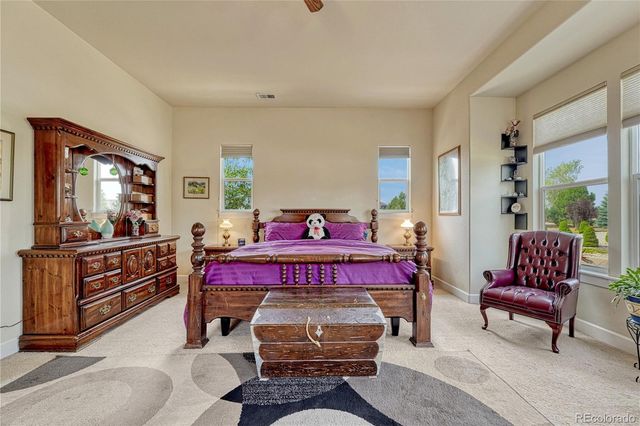 5302 Danvers Court, Castle Rock, CO 80104