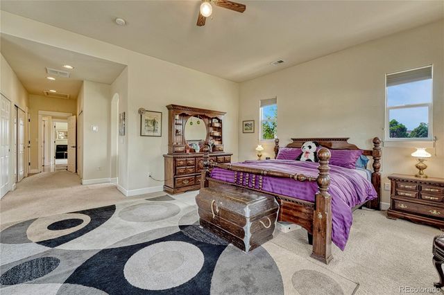 5302 Danvers Court, Castle Rock, CO 80104