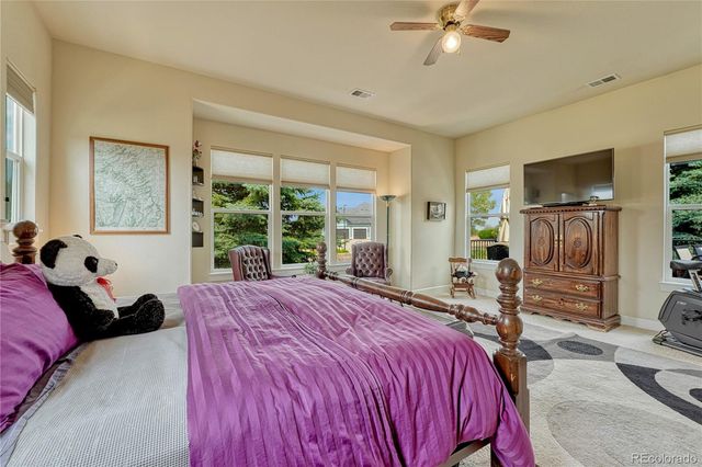 5302 Danvers Court, Castle Rock, CO 80104