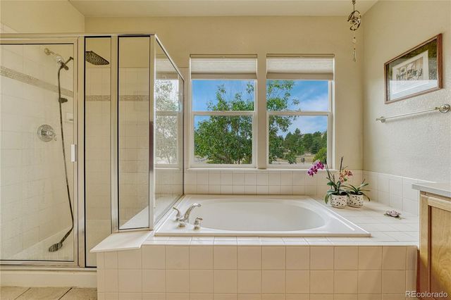 5302 Danvers Court, Castle Rock, CO 80104