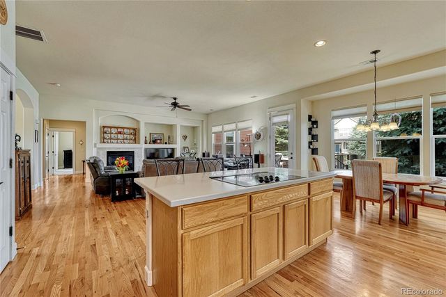 5302 Danvers Court, Castle Rock, CO 80104