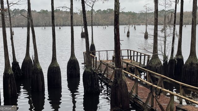 3417 Horizons Bend, Portal, GA 30450