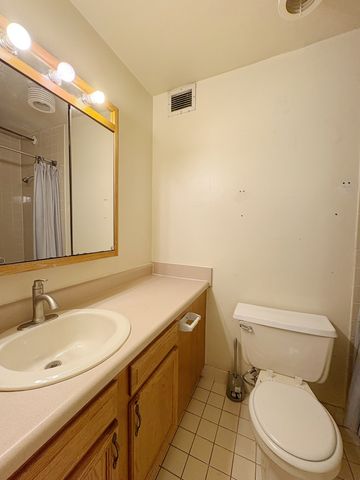 3021 S Michigan Avenue 306, Chicago, IL 60616