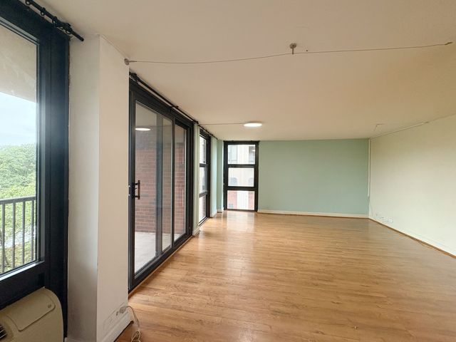 3021 S Michigan Avenue 306, Chicago, IL 60616