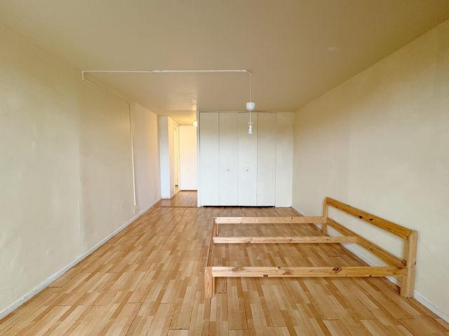 3021 S Michigan Avenue 306, Chicago, IL 60616