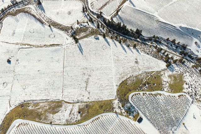 565 Boyd Loop Rd, Manson, WA 98831