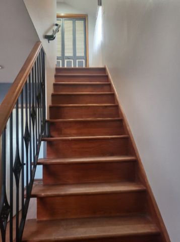 3841 S Lowe Avenue, Chicago, IL 60609