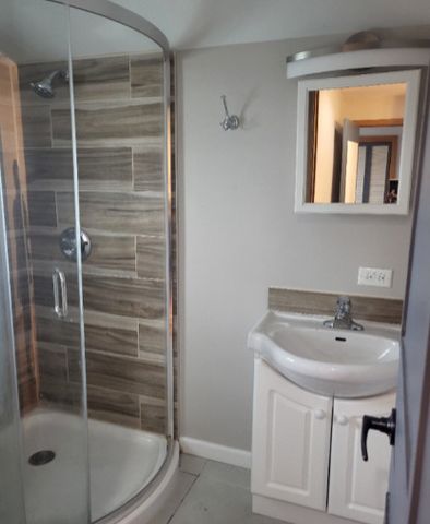 3841 S Lowe Avenue, Chicago, IL 60609