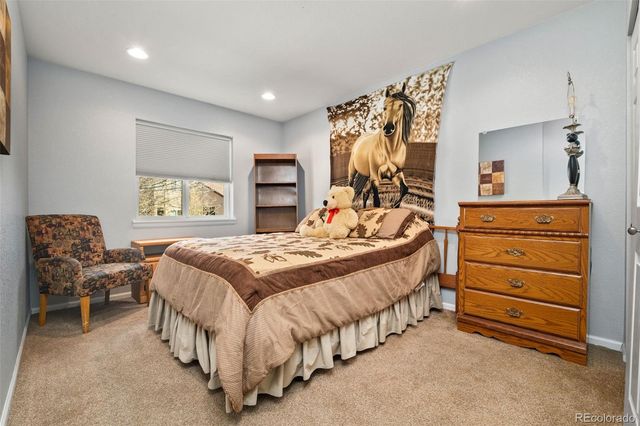 729 Mathews Circle, Erie, CO 80516