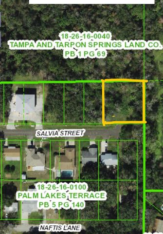 4715 SALVIA STREET, New Port Richey, FL 34652