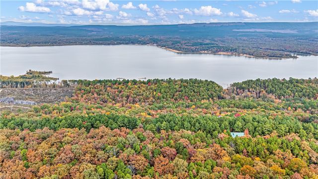 000 Co Rd 133, Plainview, AR 72857