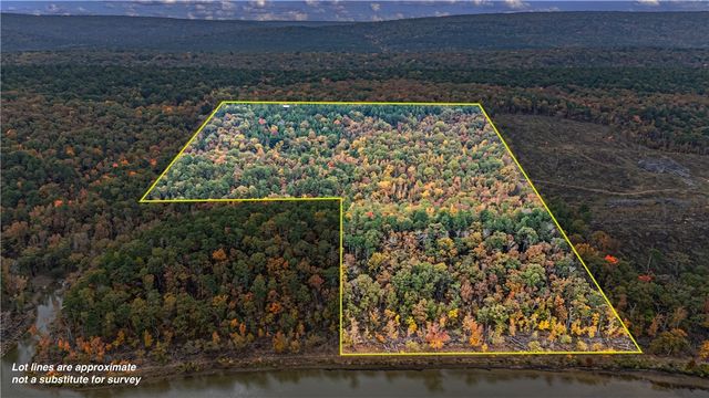 000 Co Rd 133, Plainview, AR 72857