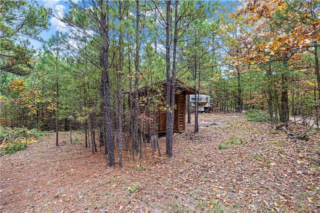 000 Co Rd 133, Plainview, AR 72857