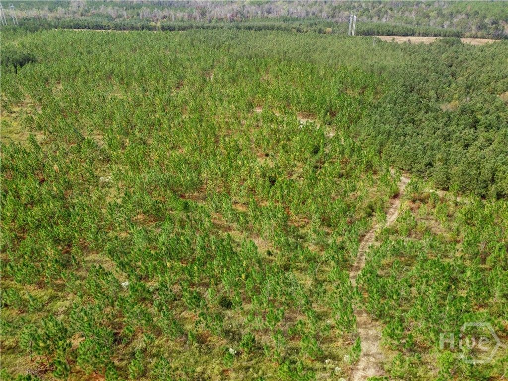 Image 1 of property listing at 0 Hwy 297 - Tracts 2,3,4 &5, Soperton, GA 30457