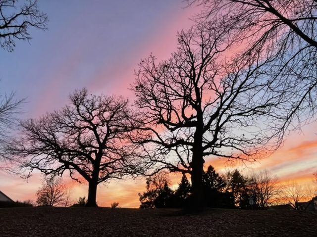 7627 Nicholas Way, Chanhassen, MN 55317