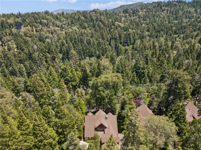 28637 Shenandoah, Lake Arrowhead, CA 92352