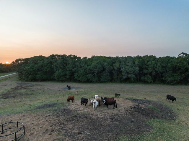 4102 Fm 1862, Blessing, TX 77419