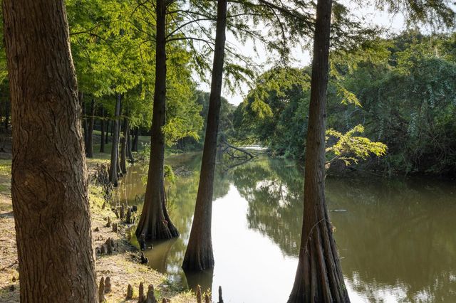 4102 Fm 1862, Blessing, TX 77419