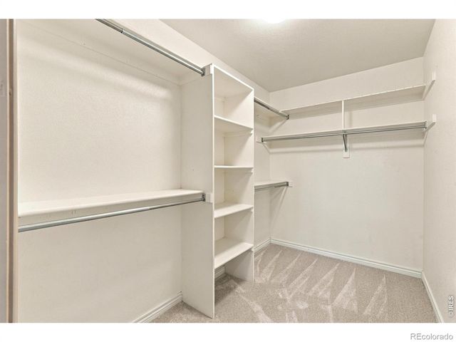 818 S Terry Street 101, Longmont, CO 80501