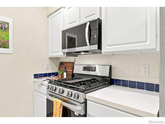 818 S Terry Street 101, Longmont, CO 80501