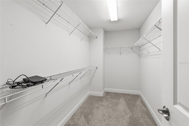 2313 SUNSET WIND LOOP, Oldsmar, FL 34677