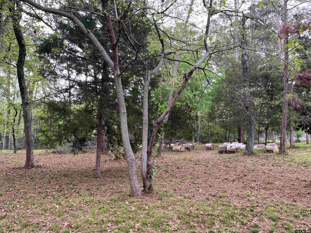 lot 5 Lakeview Dr., Bullard, TX 75757