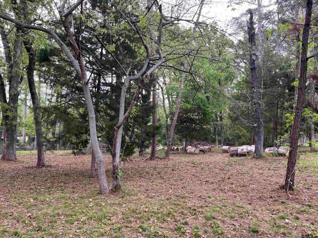 lot 5 Lakeview Dr., Bullard, TX 75757