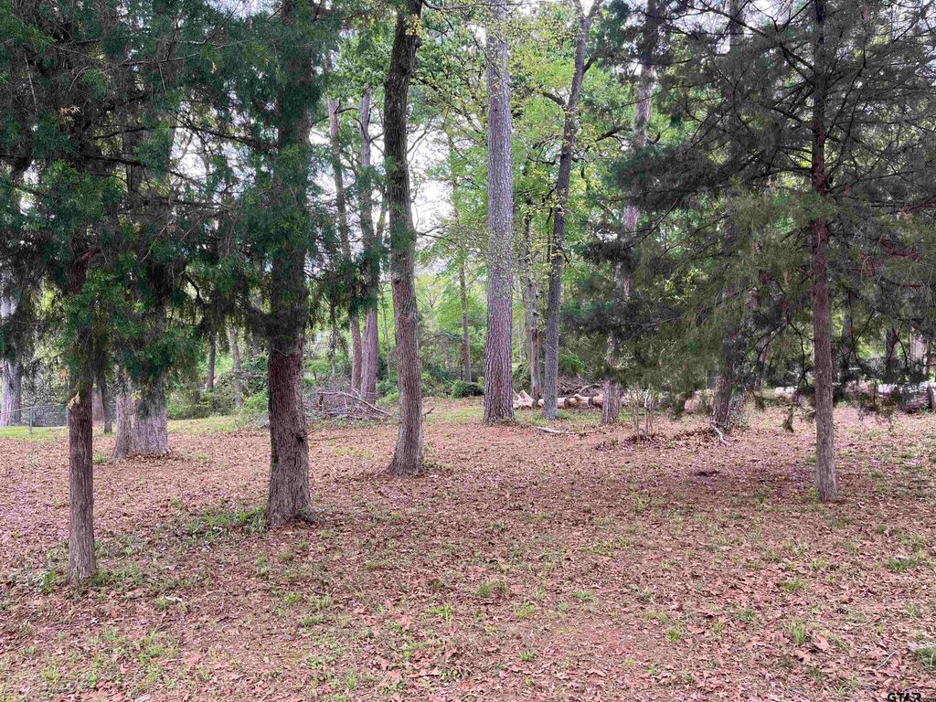 lot 5 Lakeview Dr., Bullard, TX 75757