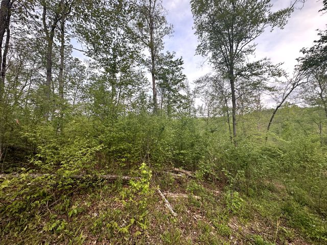 31 Ivy Hollow Ln, Stewart, TN 37175