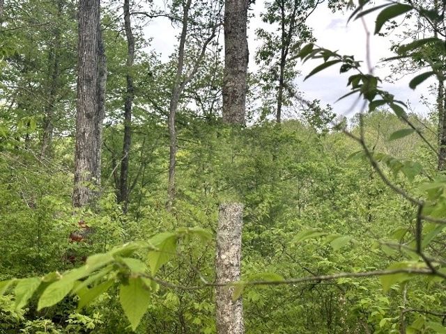 31 Ivy Hollow Ln, Stewart, TN 37175