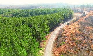 31 Ivy Hollow Ln, Stewart, TN 37175