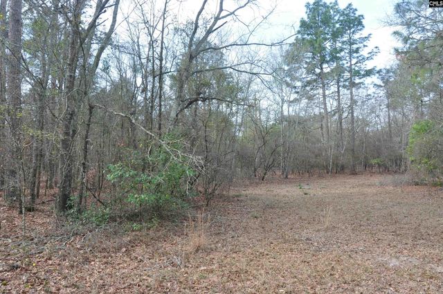 4533 Calks Ferry Road 1, Leesville, SC 29070