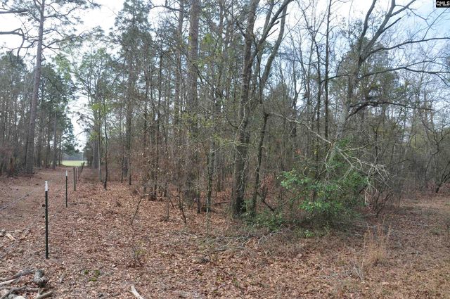 4533 Calks Ferry Road 1, Leesville, SC 29070