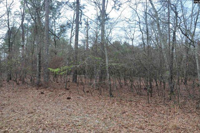 4533 Calks Ferry Road 1, Leesville, SC 29070