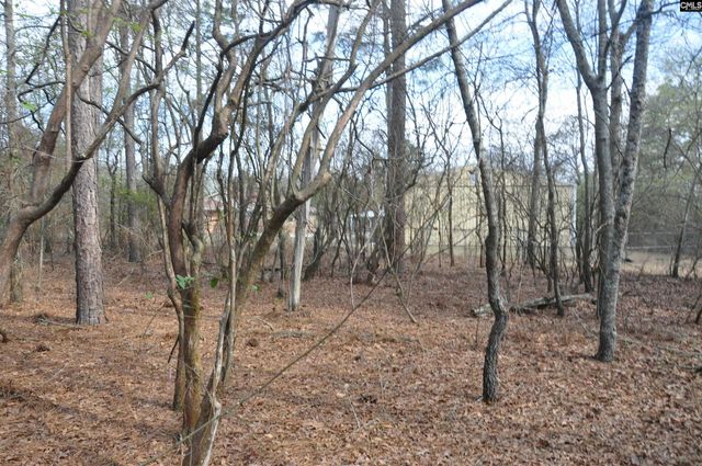 4533 Calks Ferry Road 1, Leesville, SC 29070