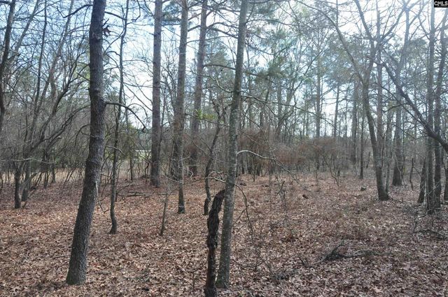 4533 Calks Ferry Road 1, Leesville, SC 29070