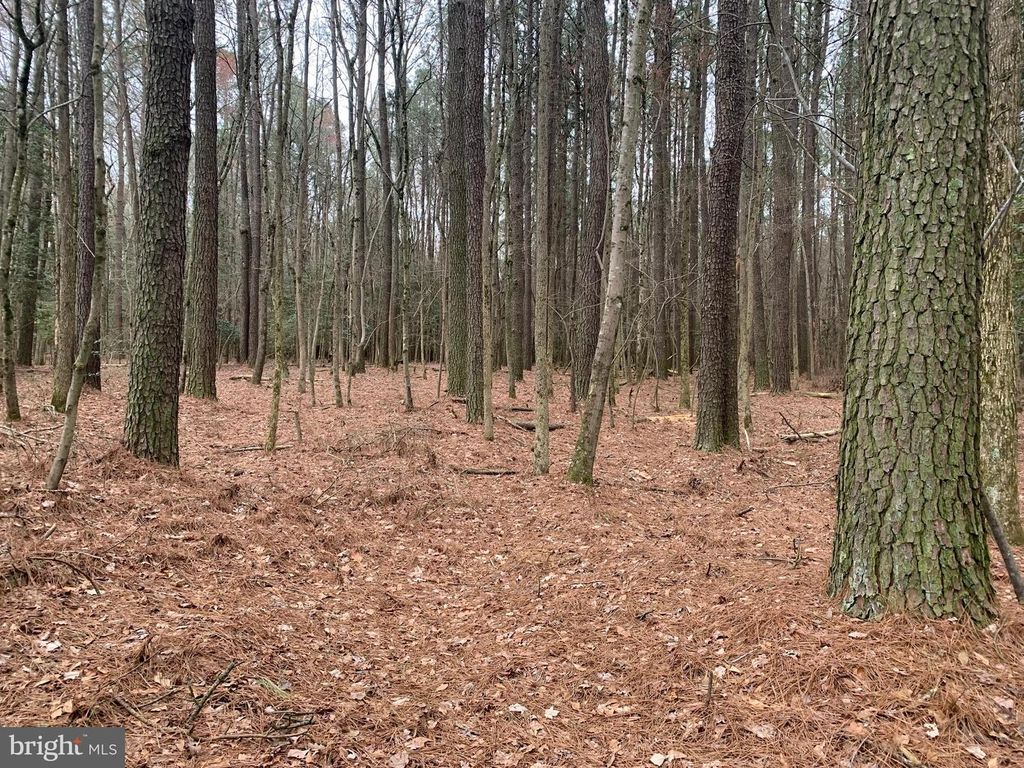 0 UPPER FERRY ROAD, Eden, MD 21822