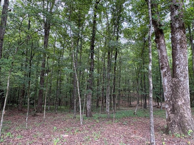 1925 Lee Road 0288, Smiths Station, AL 36877