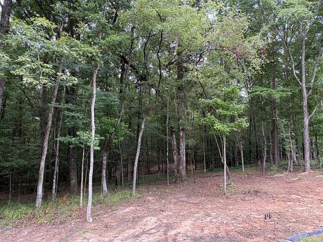 1925 Lee Road 0288, Smiths Station, AL 36877